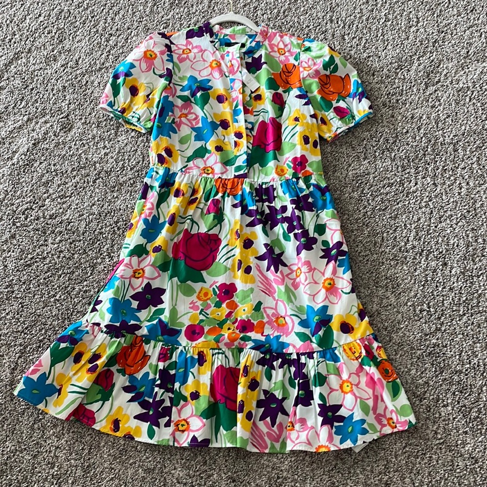 NWT J Crew Dress, Size 2